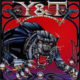 Ytblacktiger
